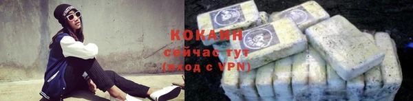 стаф Богородицк