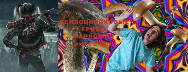 эйфоретик Богданович
