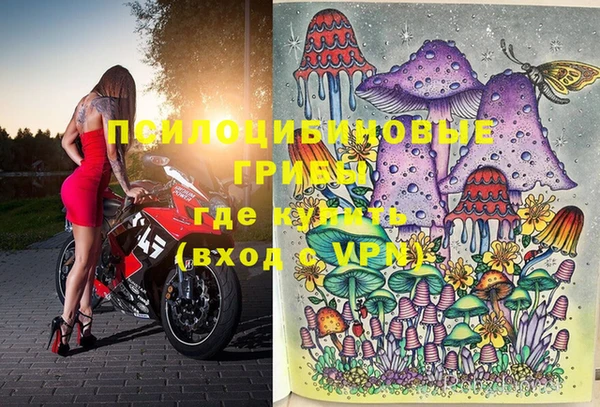 PSILOCYBIN Богородск