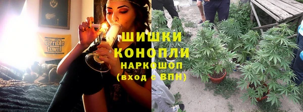 стаф Богородицк