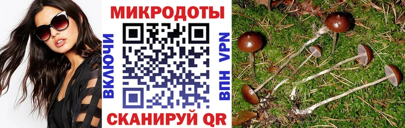 как найти закладки  блэк спрут ONION  Галлюциногенные грибы мицелий  Сургут 